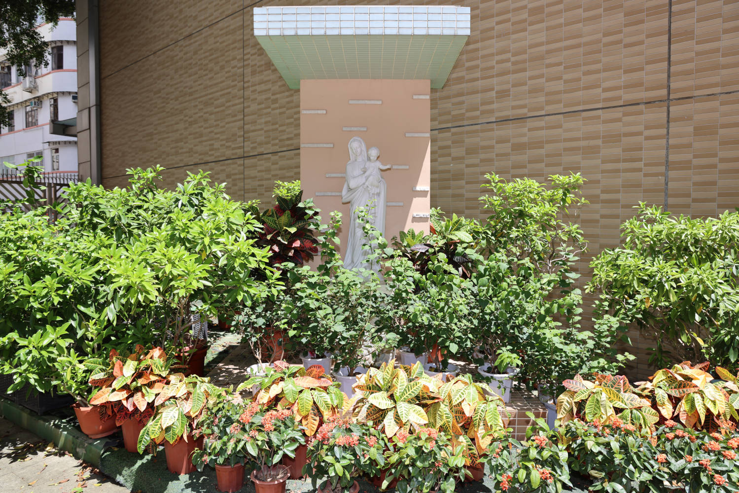 聖母亭 Image